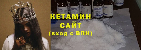 шишки Осинники