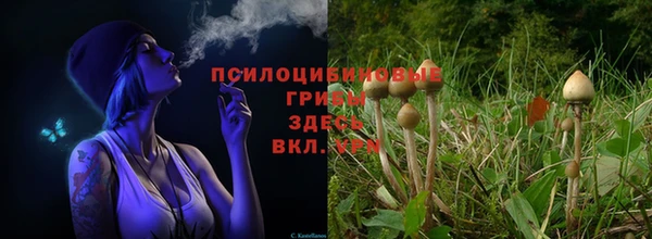 амфетамин Арсеньев